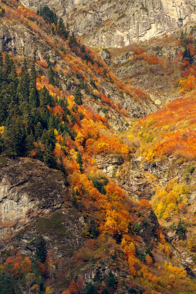 Photograph by Юрий Примак