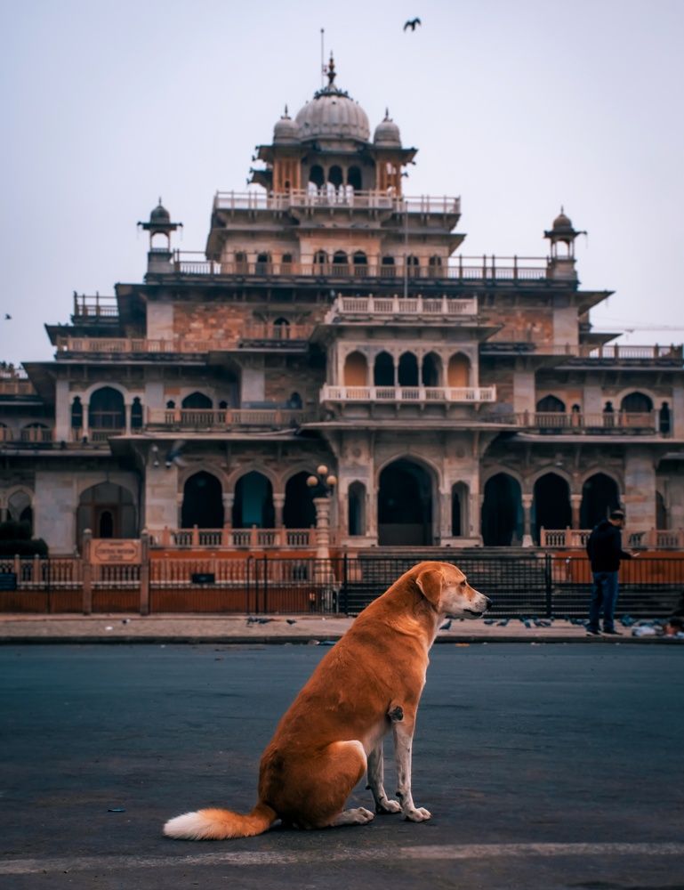 Photograph by prashant bamnawat