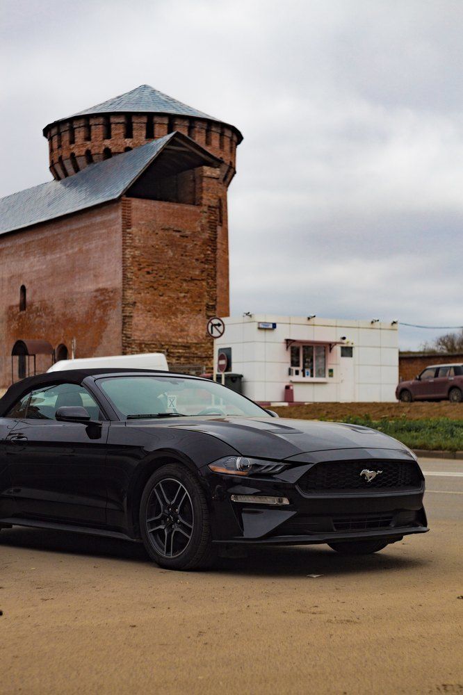 Фотография автора Виталий Новиков