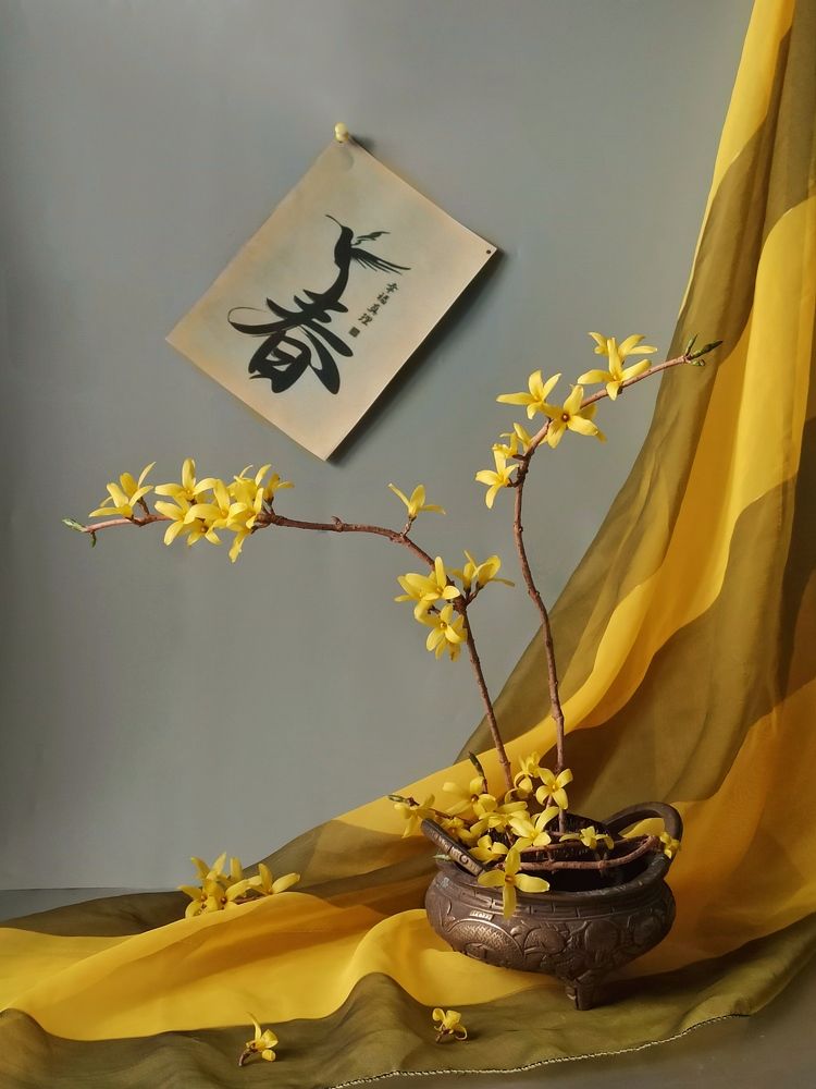 Photograph by Новикова Елена Сергеевна