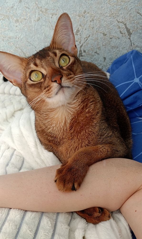 Photograph by Людмила Лапытова