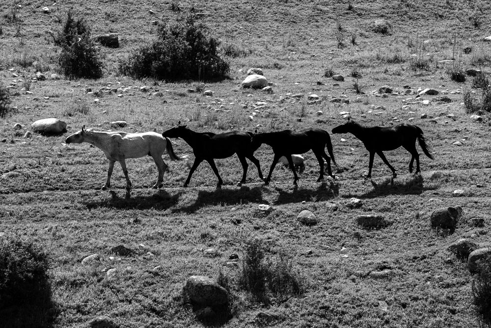 Вслед за светлым...