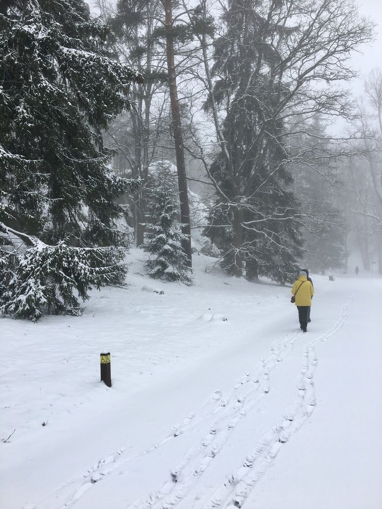 Photograph by Лев Марков