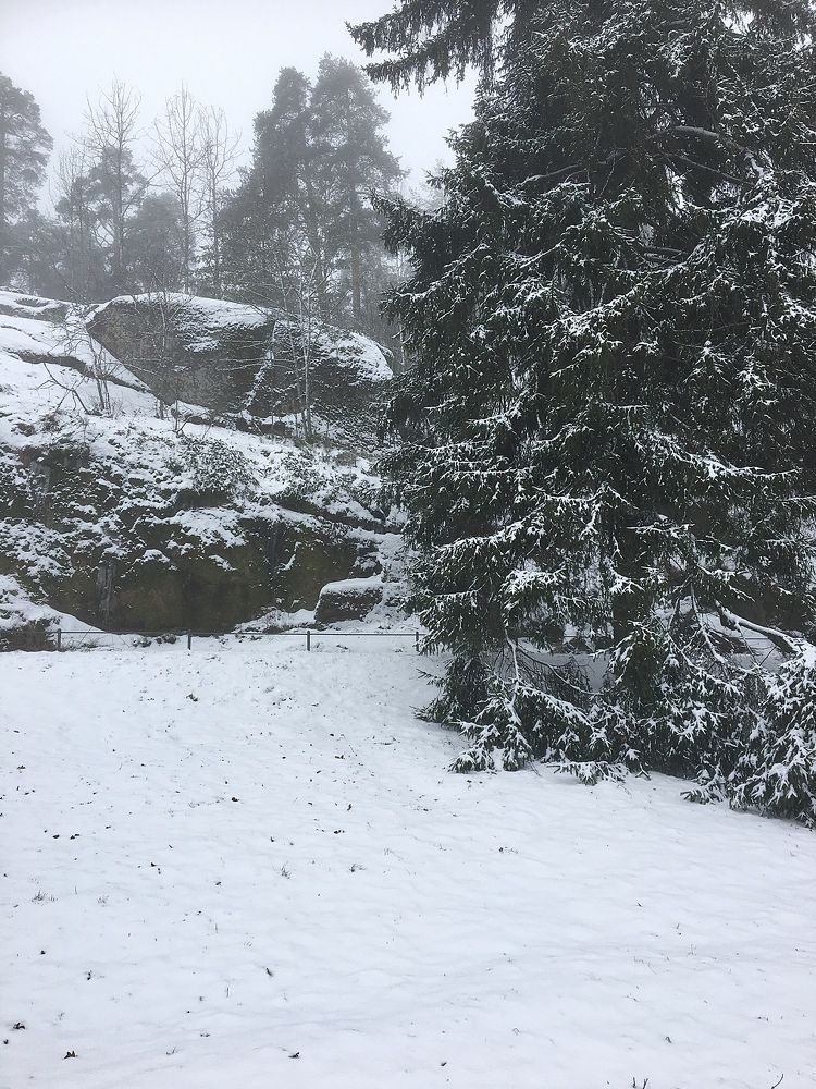 Photograph by Лев Марков