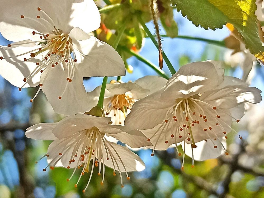 Photograph by Ольга Тихонова