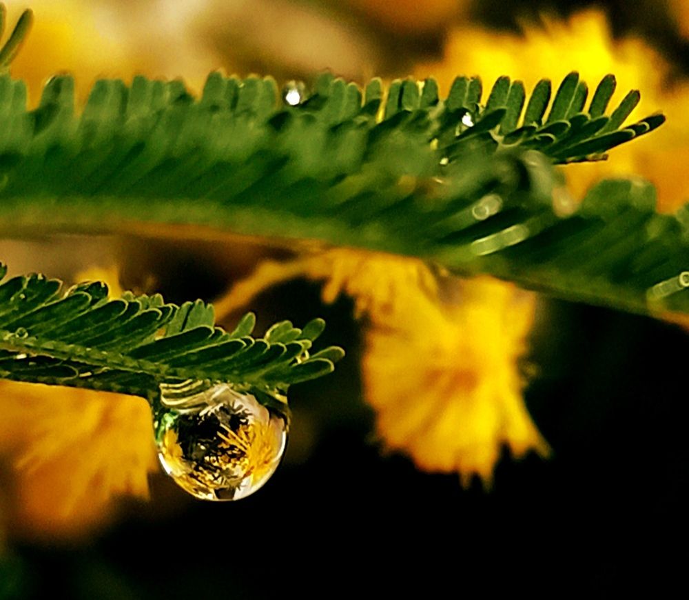 Photograph by Ольга Тихонова