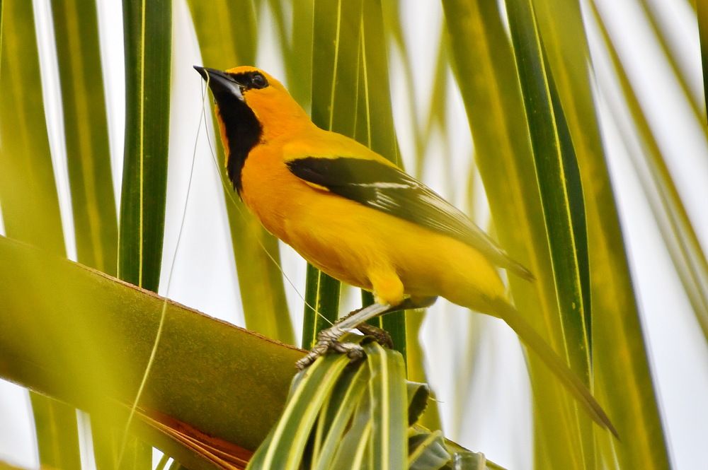 Photograph by Marzio Fattorini