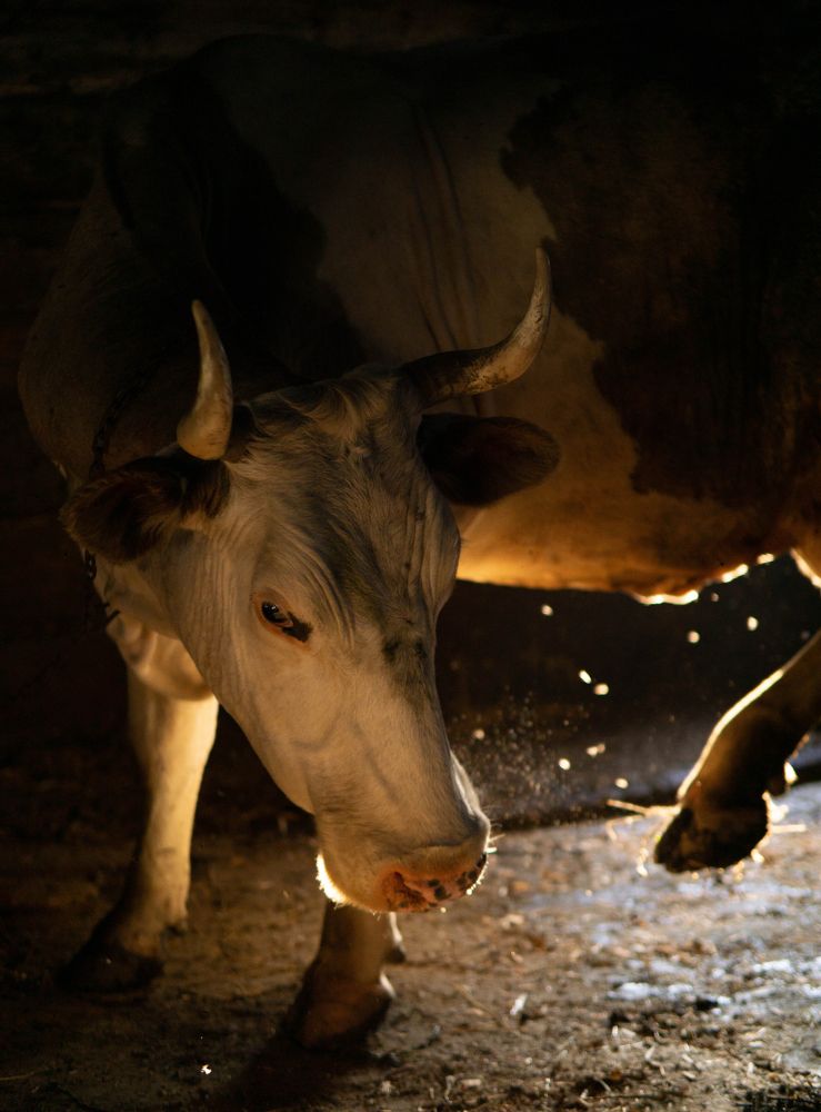 Photograph by Ксения Воробьева