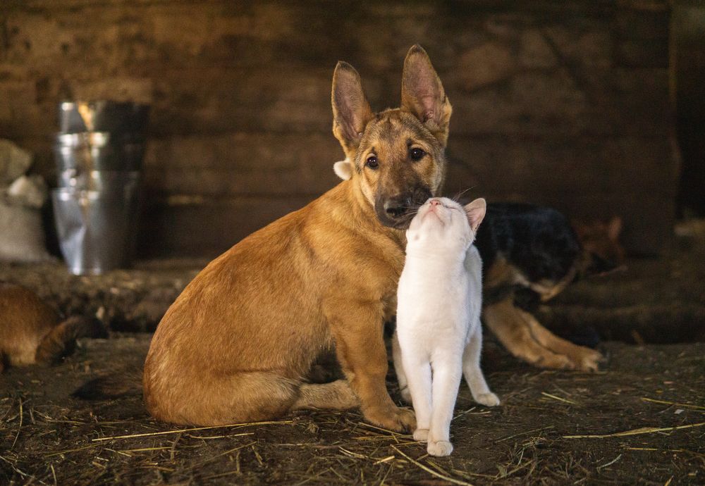 Photograph by Ксения Воробьева
