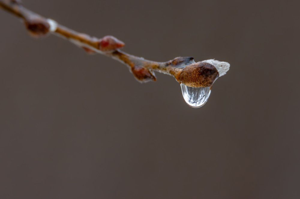 Photograph by Бурыкин Илья