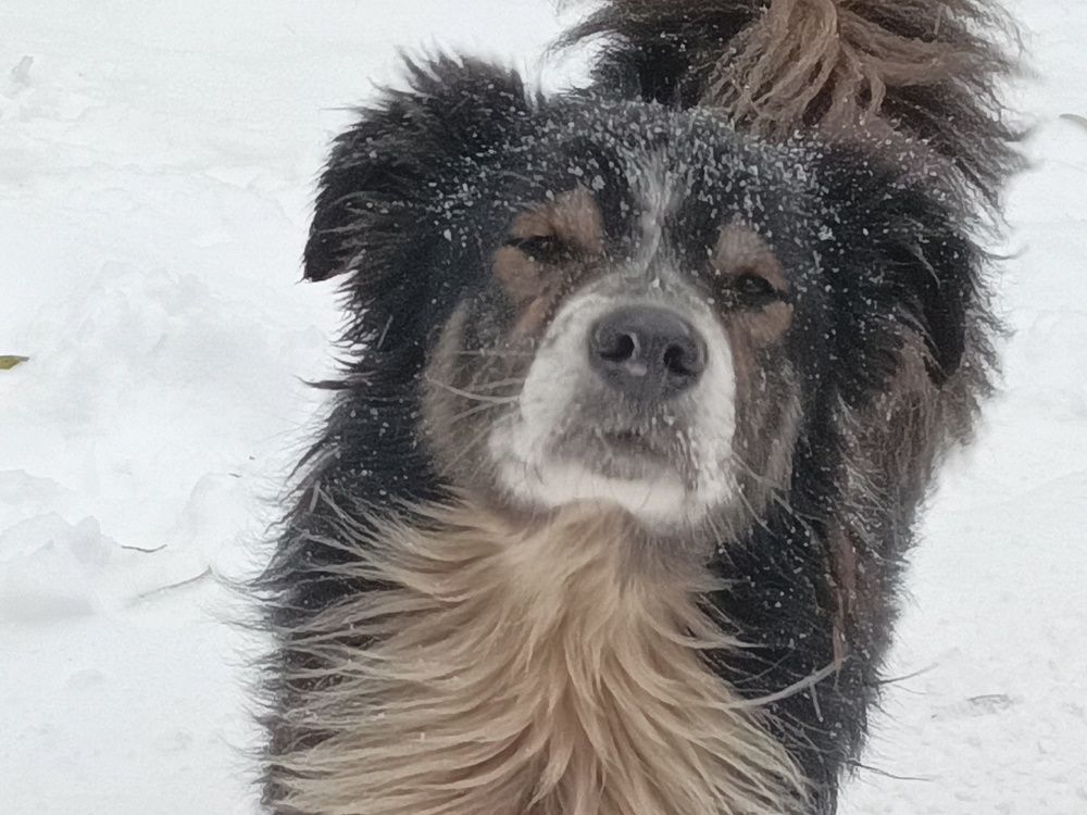 Photograph by Светлана Логинова