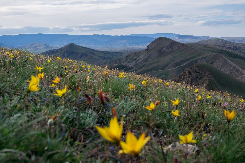 Photograph by Анна Изюмская