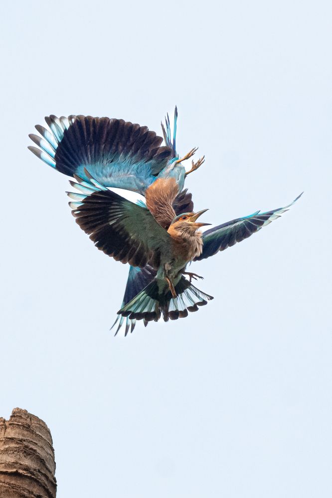 Фотография автора Sriram kumar