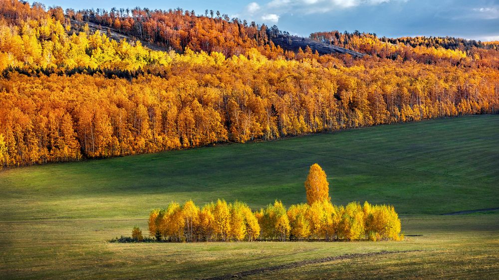 Photograph by Валерий Ушаков