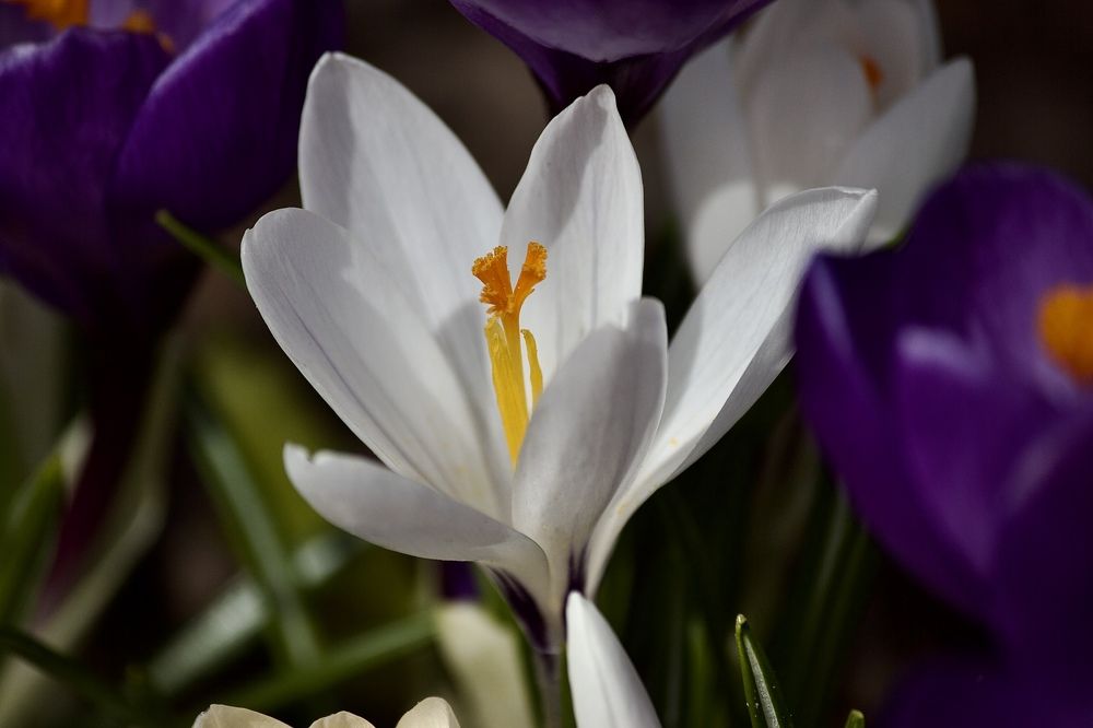 Photograph by Лариса Белашова