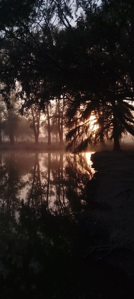 Photo #10529176