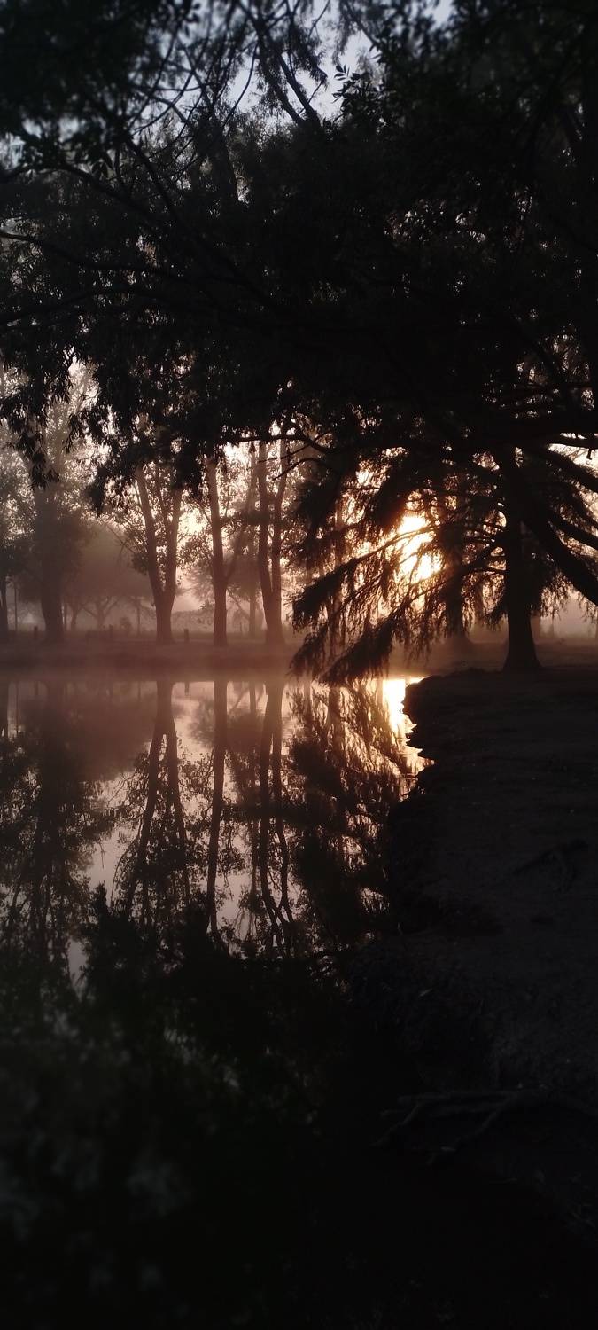 Photo #10529176