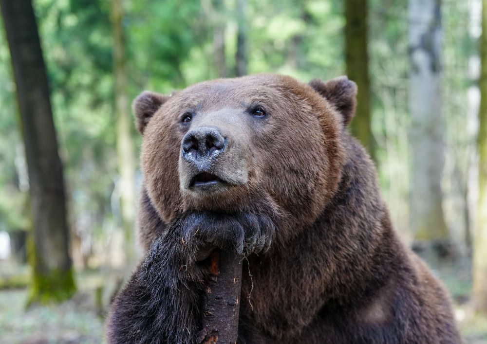 Photograph by Саня Вякин