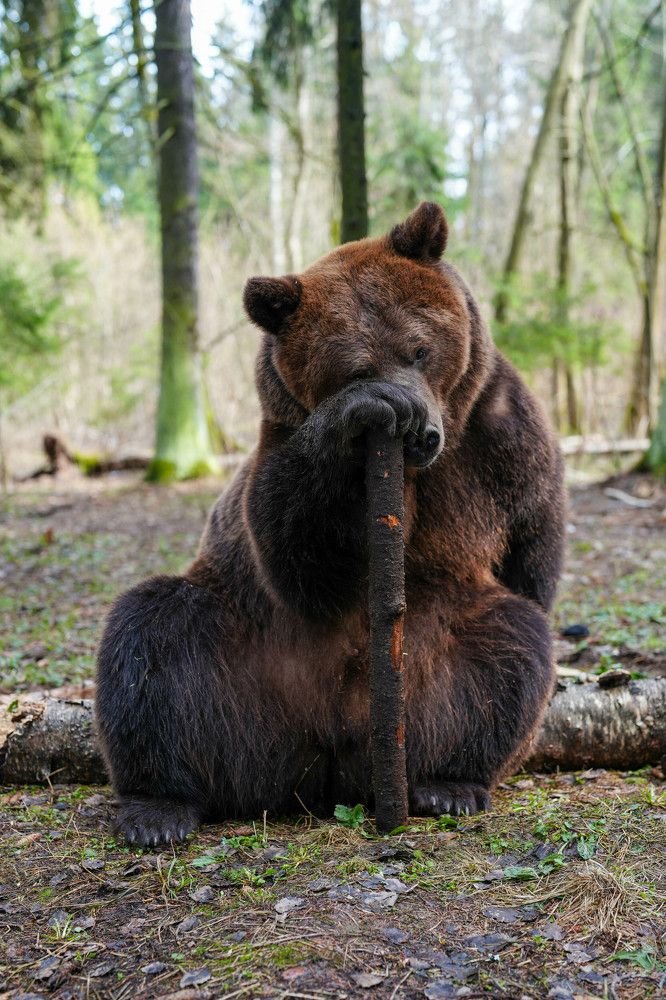 Photograph by Саня Вякин