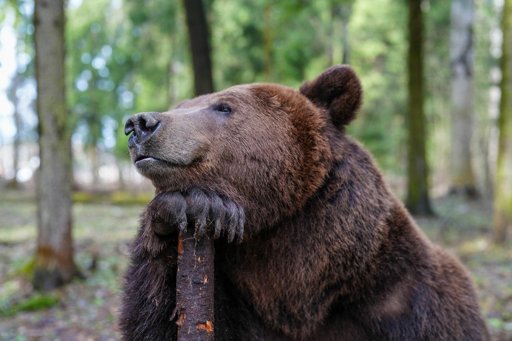 Photograph by Саня Вякин