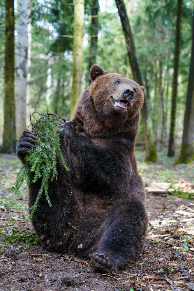 Photograph by Саня Вякин