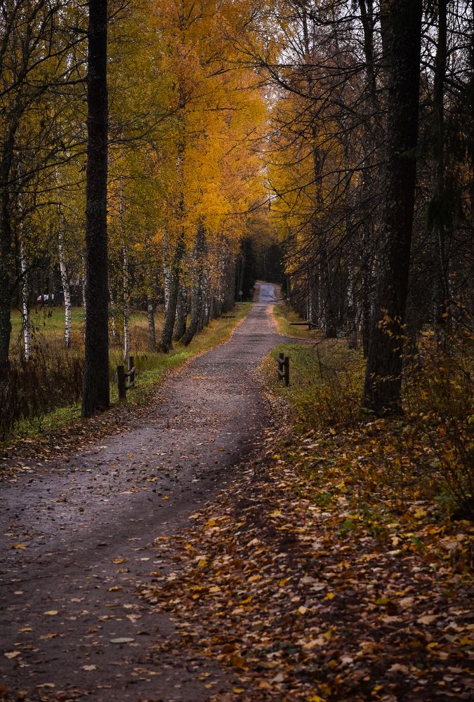 Photograph by Наталья Сергеева