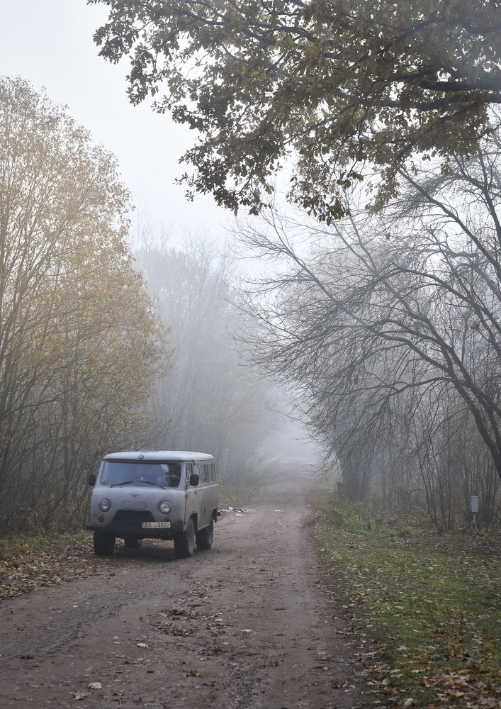 Photograph by Наталья Сергеева