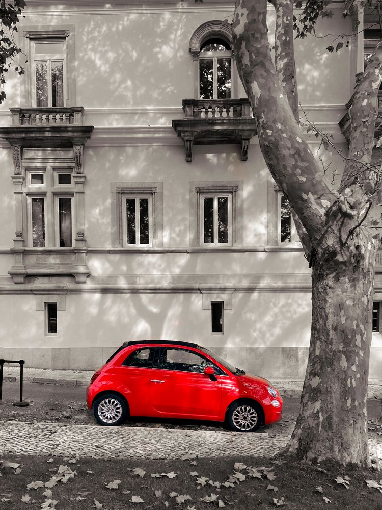 Фотография автора Лариса Гришкевич