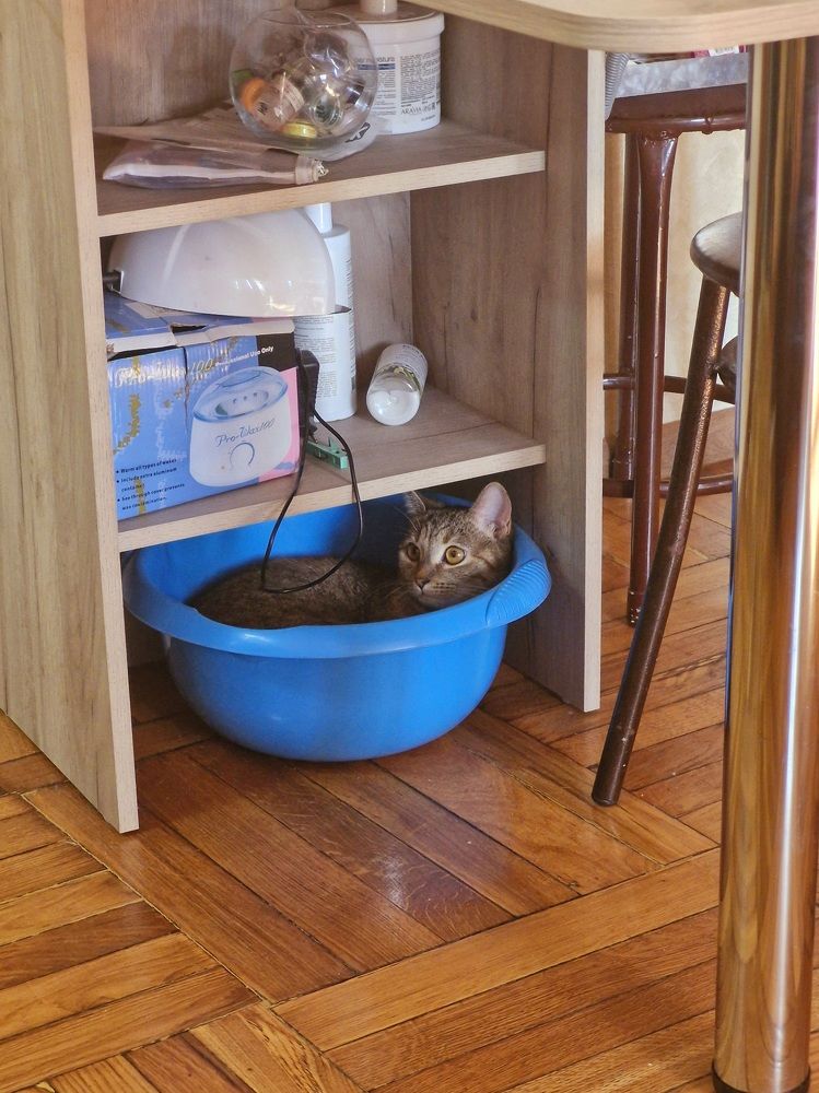 Photograph by Igor Chechin