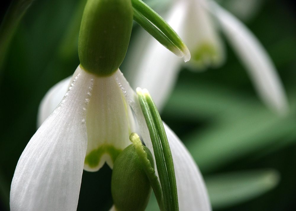 Photograph by Дмитрий Ткаченко