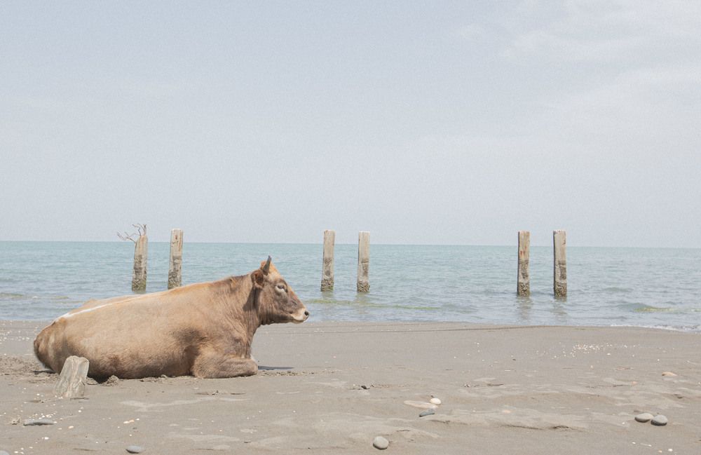 Photograph by Даниил Занин