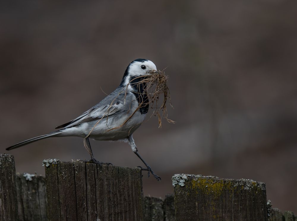 Photograph by Курлянцев Алексей