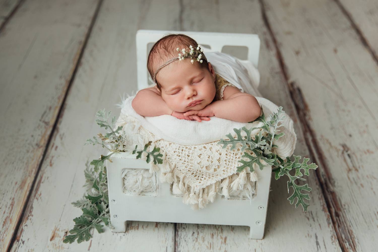 Фотография #10529796