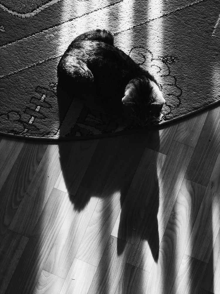Photograph by Ирина Ященко
