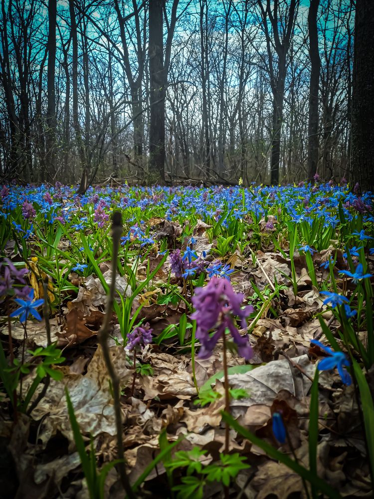 Photograph by Оксана Аралова