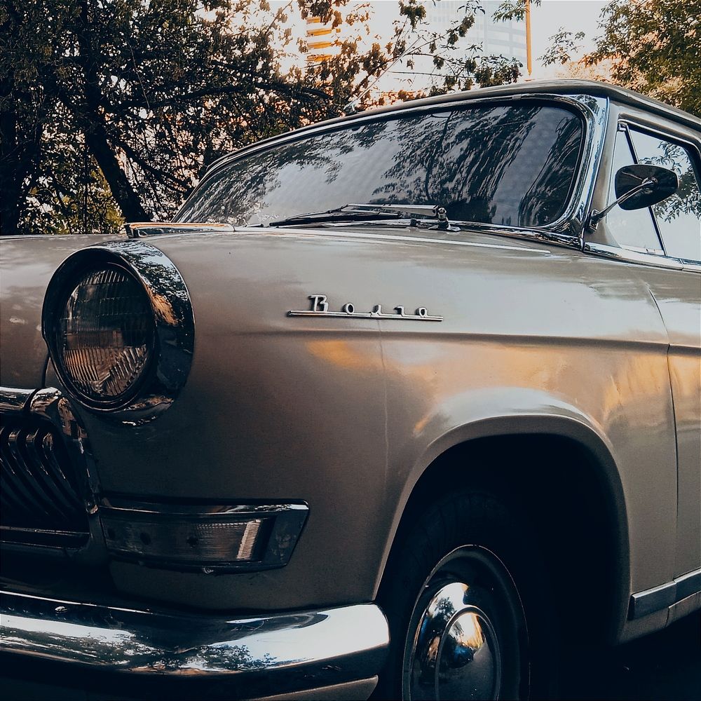 Photograph by Мария Голубева