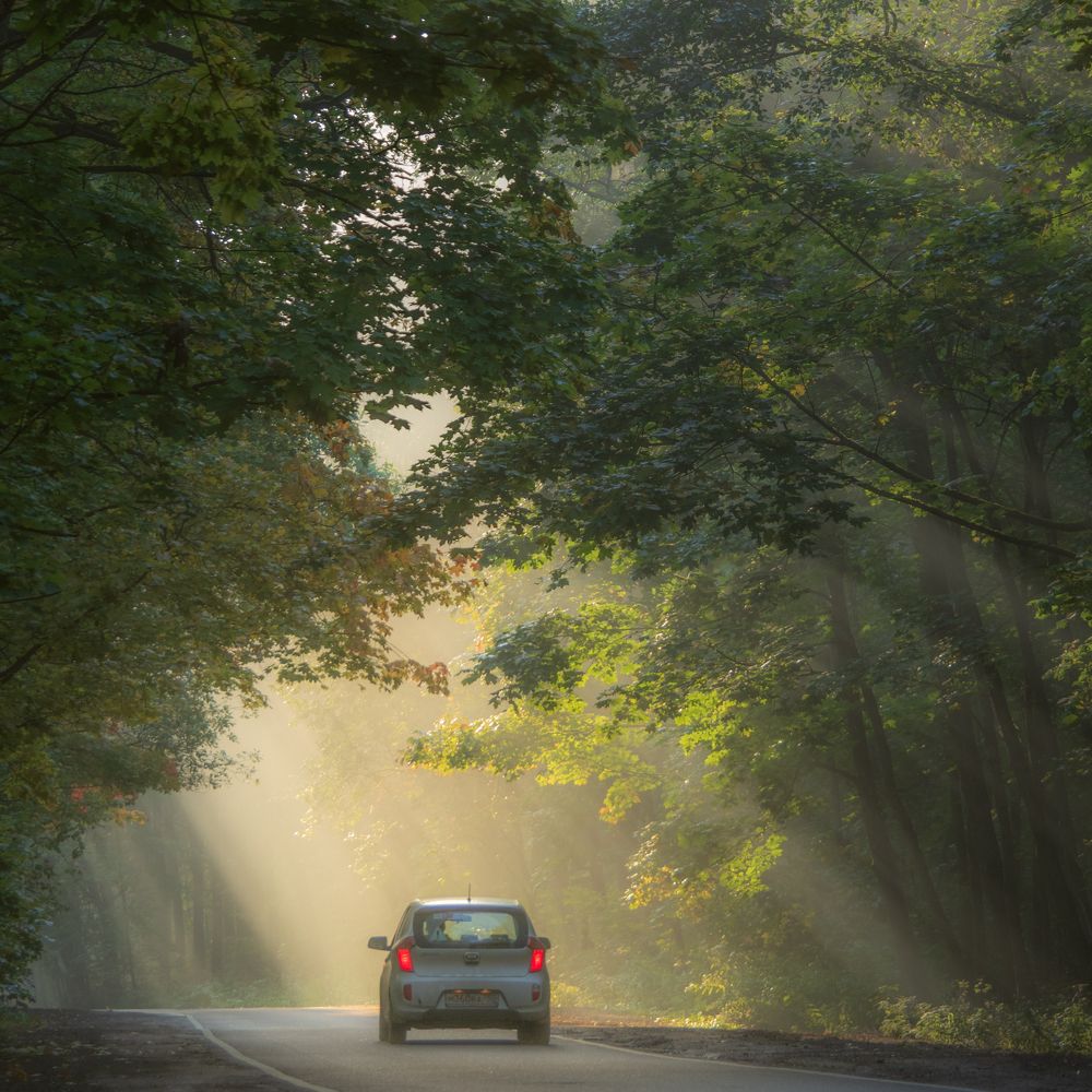 Photograph by Сергей Богданов