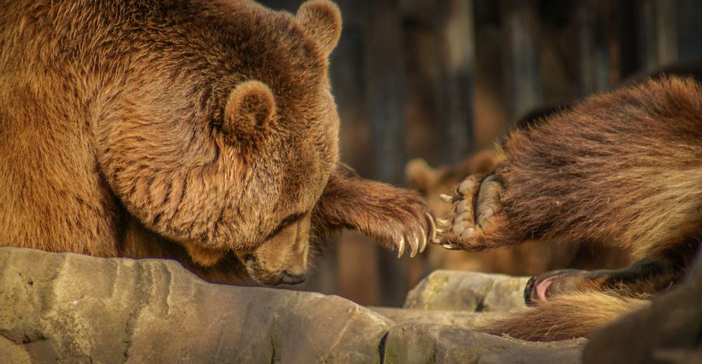 Photograph by Дария Максимова