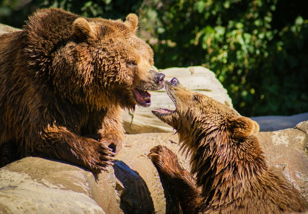 Photograph by Дария Максимова