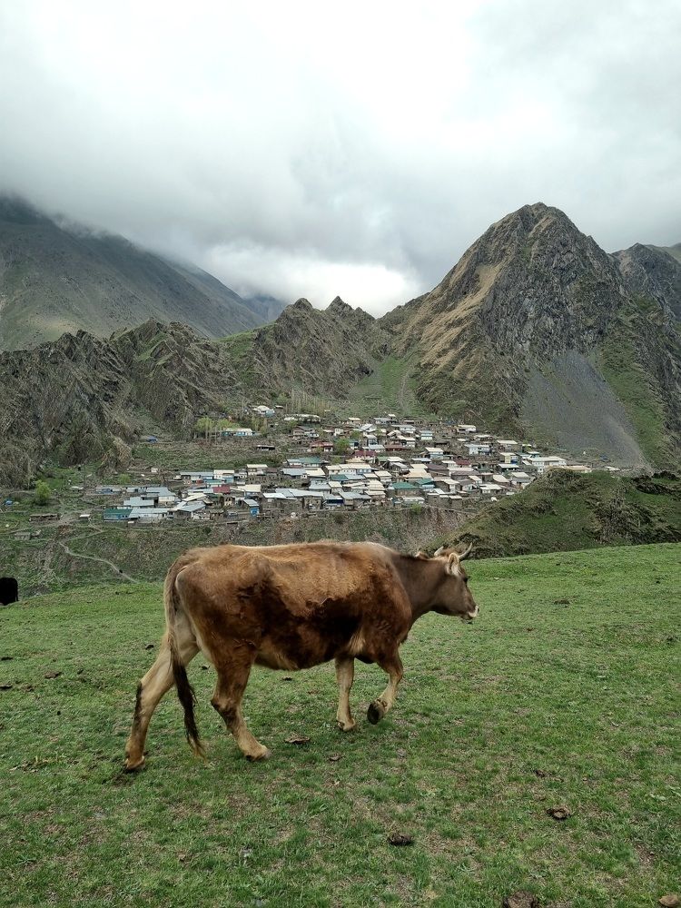 Photograph by Даниил Занин