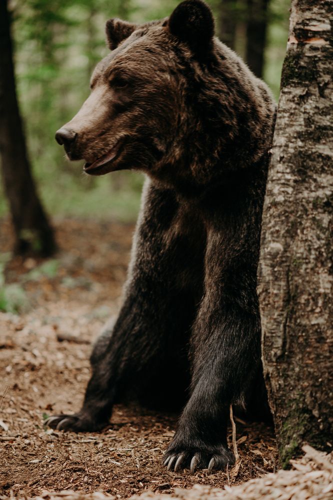 Photograph by Юлия Сорокина