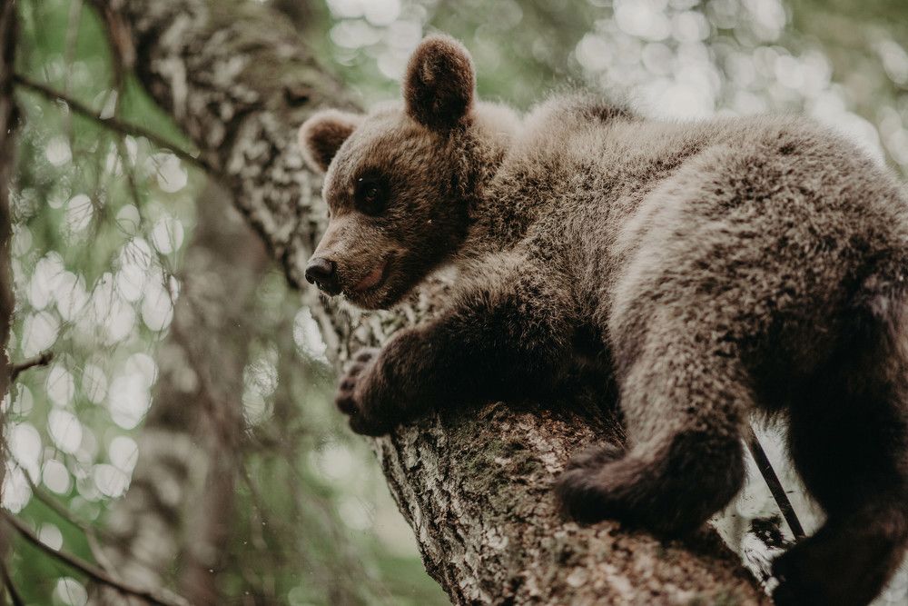 Photograph by Юлия Сорокина