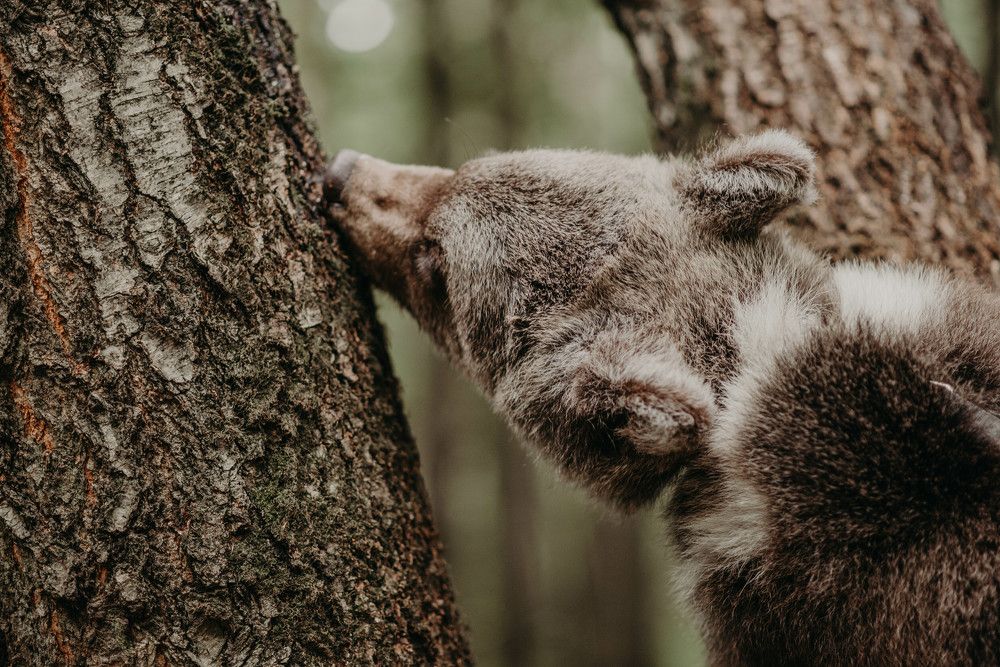 Photograph by Юлия Сорокина