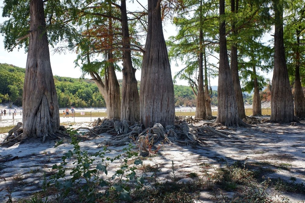 Photograph by Зорин Миша