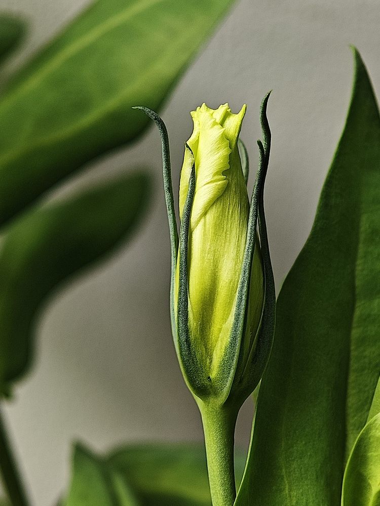 Фотография автора Вера Красюкова