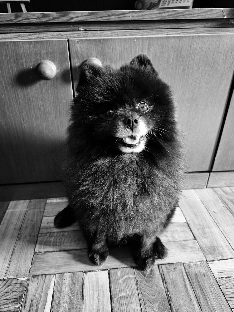 Photograph by Igor Chechin