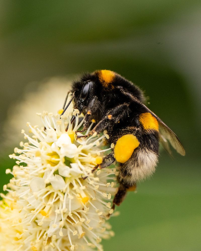 Photograph by Adriana smeu