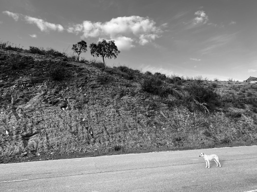 Photograph by Janina Segeda