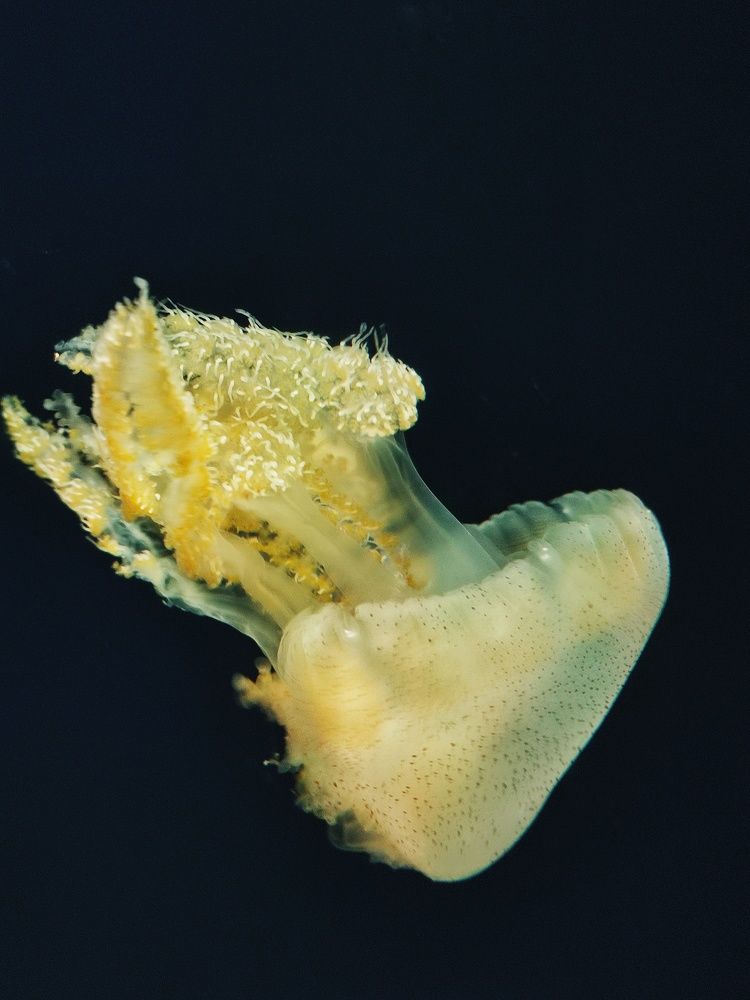 Photograph by Meilany Wijaya