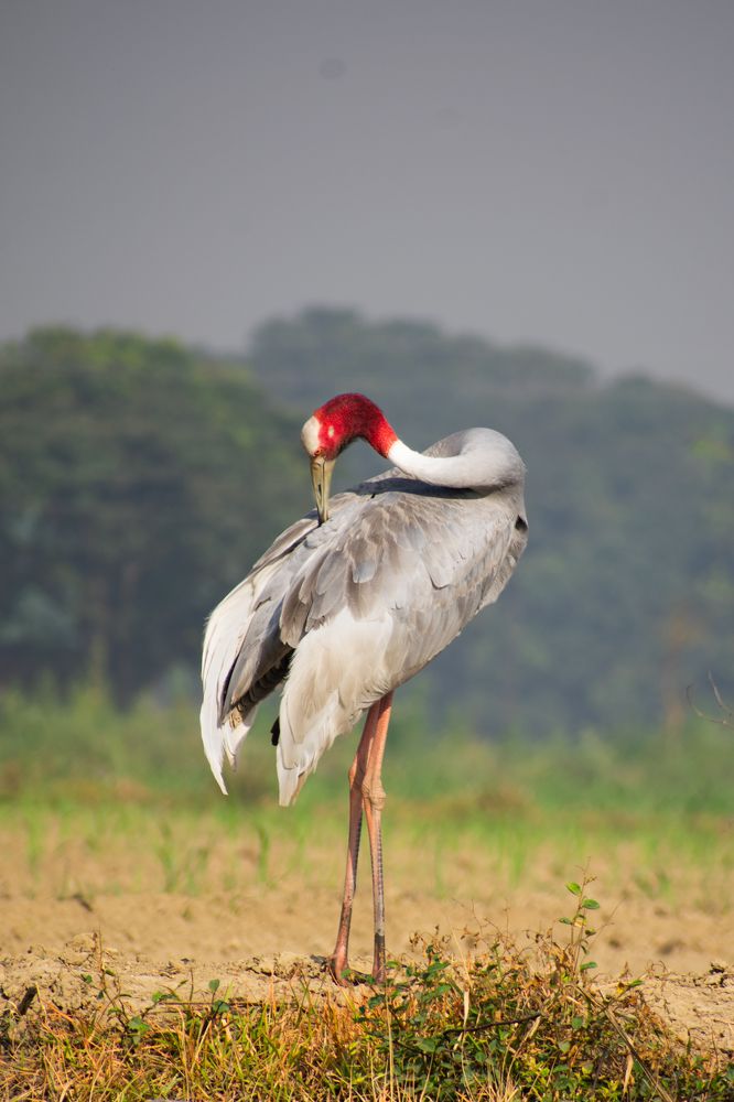 Photograph by Chaitanya gupta